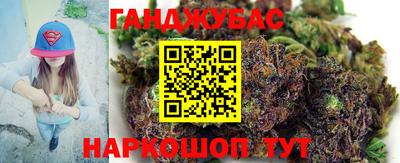 гашик Будённовск