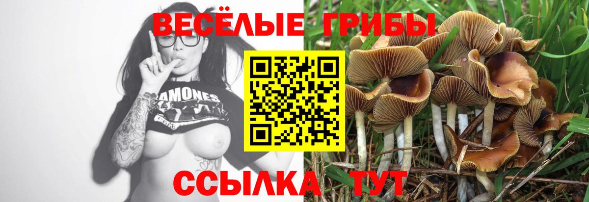 Пыть-Ях  Галлюциногенные грибы GOLDEN TEACHER  купить наркоту  Вход с VPN 